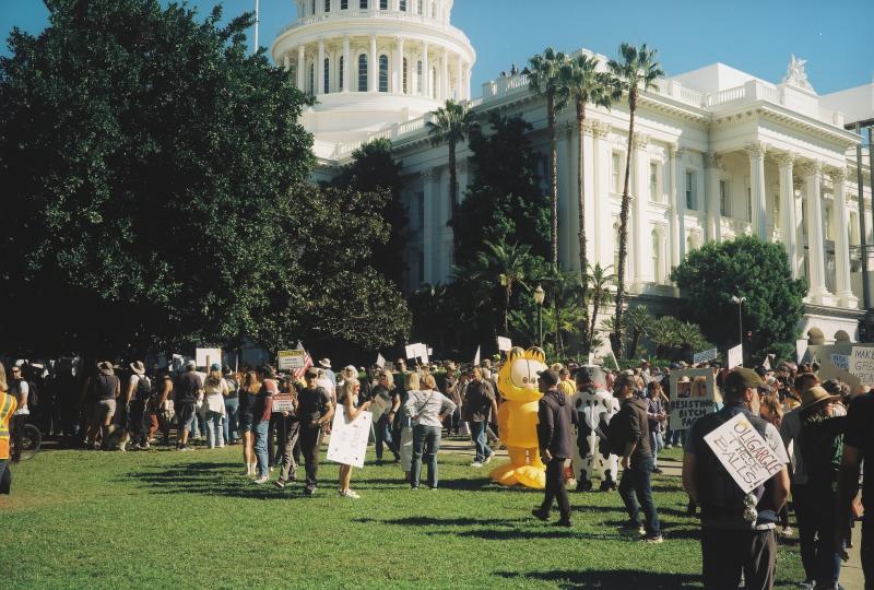 No Kings protest in front of the California State capitol building.
